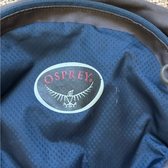 Osprey Daylight 13 L Day Pack Blue and Gray | outdoors | hiking | camping | - Picture 2 of 6
